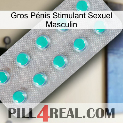 Gros Pénis Stimulant Sexuel Masculin 28
